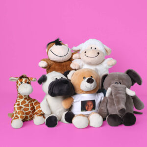 Peluche con camiseta personalizada